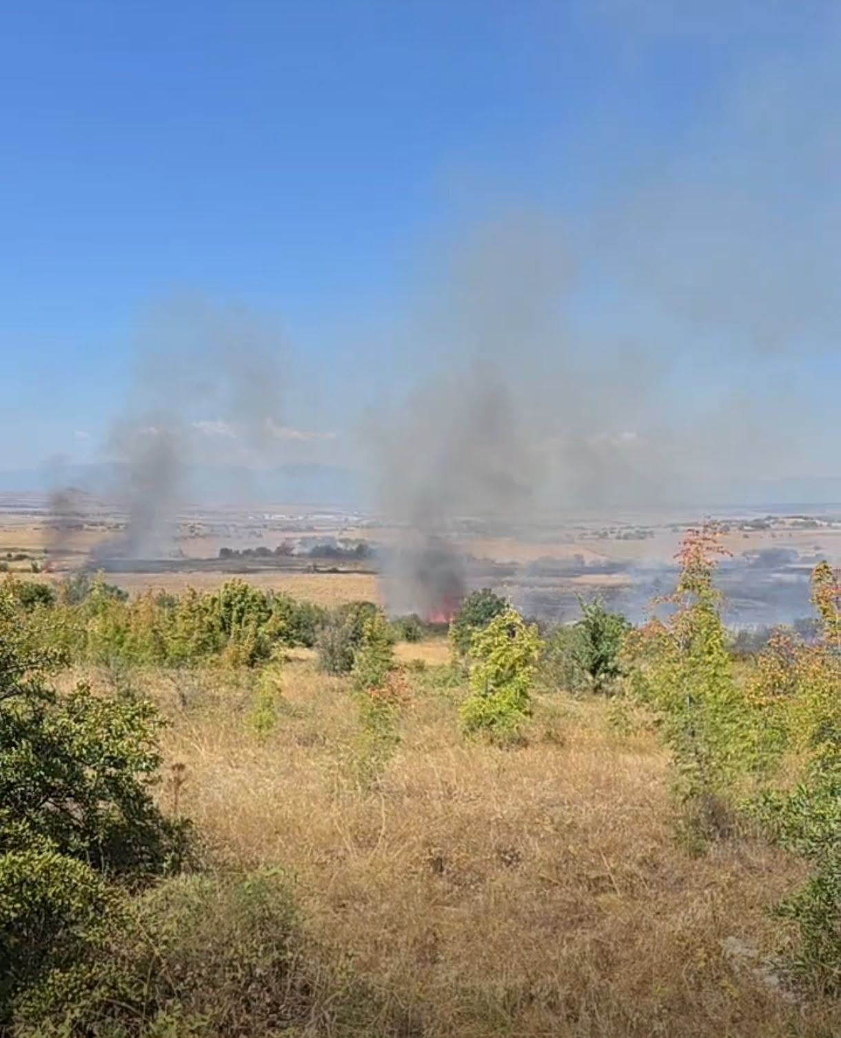 Πυρκαγιά σε χαμηλή βλάστηση στο Κιλκίς