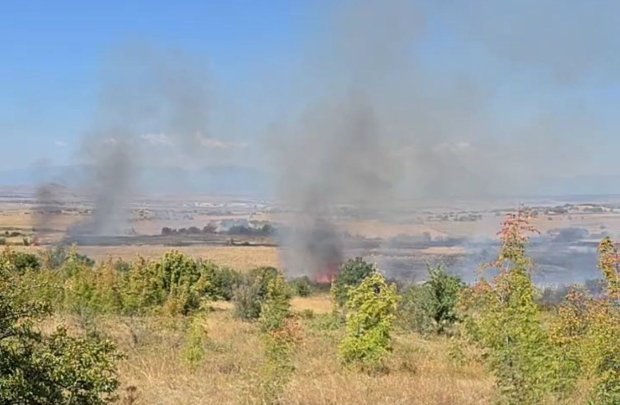 Πυρκαγιά σε χαμηλή βλάστηση στο Κιλκίς