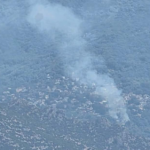 Πυρκαγιά σε αγροτοδασική έκταση στην περιοχή Αγίου Λαυρεντίου Μαγνησίας