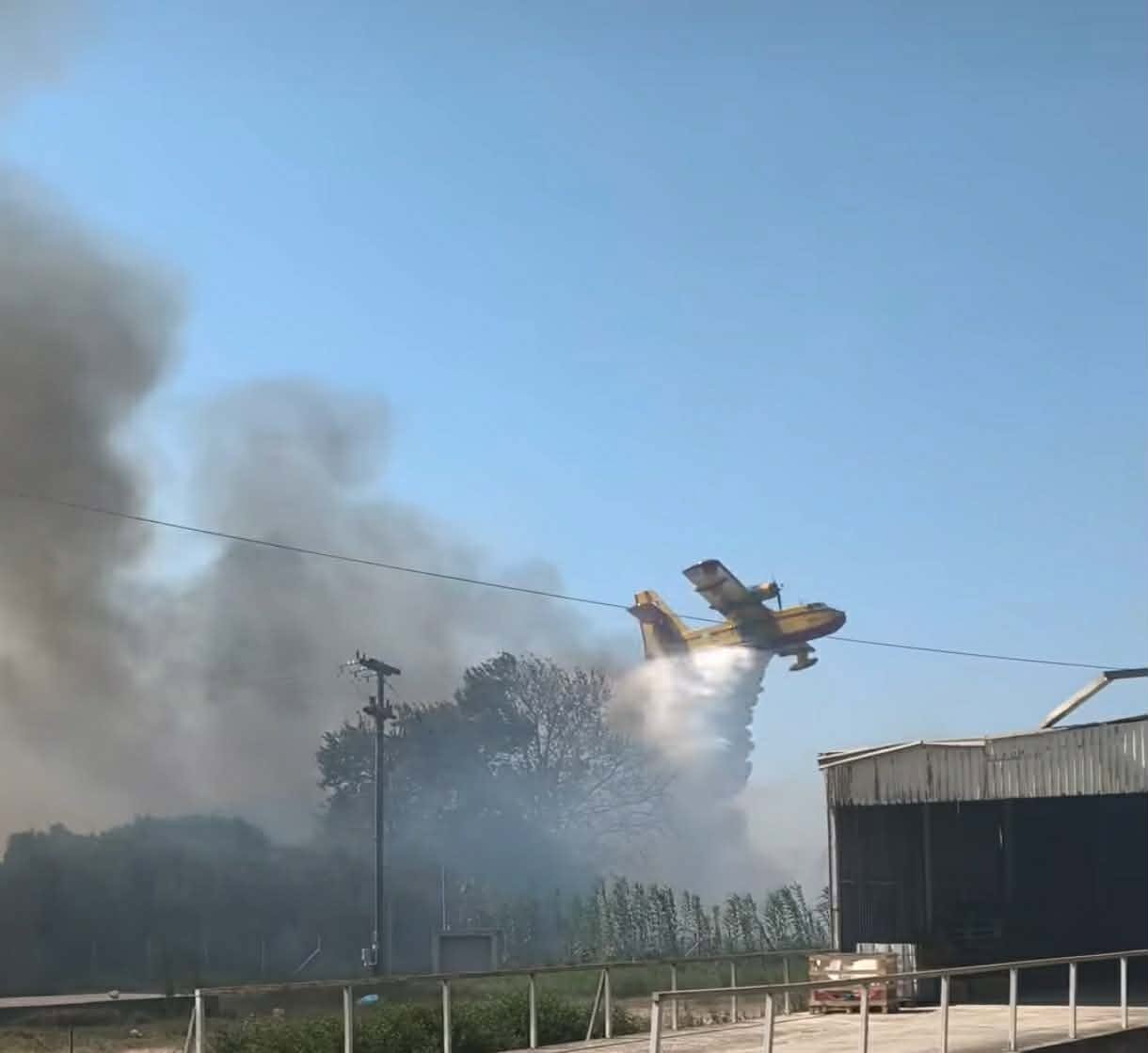 Πυρκαγιά σε χαμηλή βλάστηση στην περιοχή της Γαστούνης Ηλείας Πυρκαγιά σε χαμηλή βλάστηση στην περιοχή της Γαστούνης Ηλείας