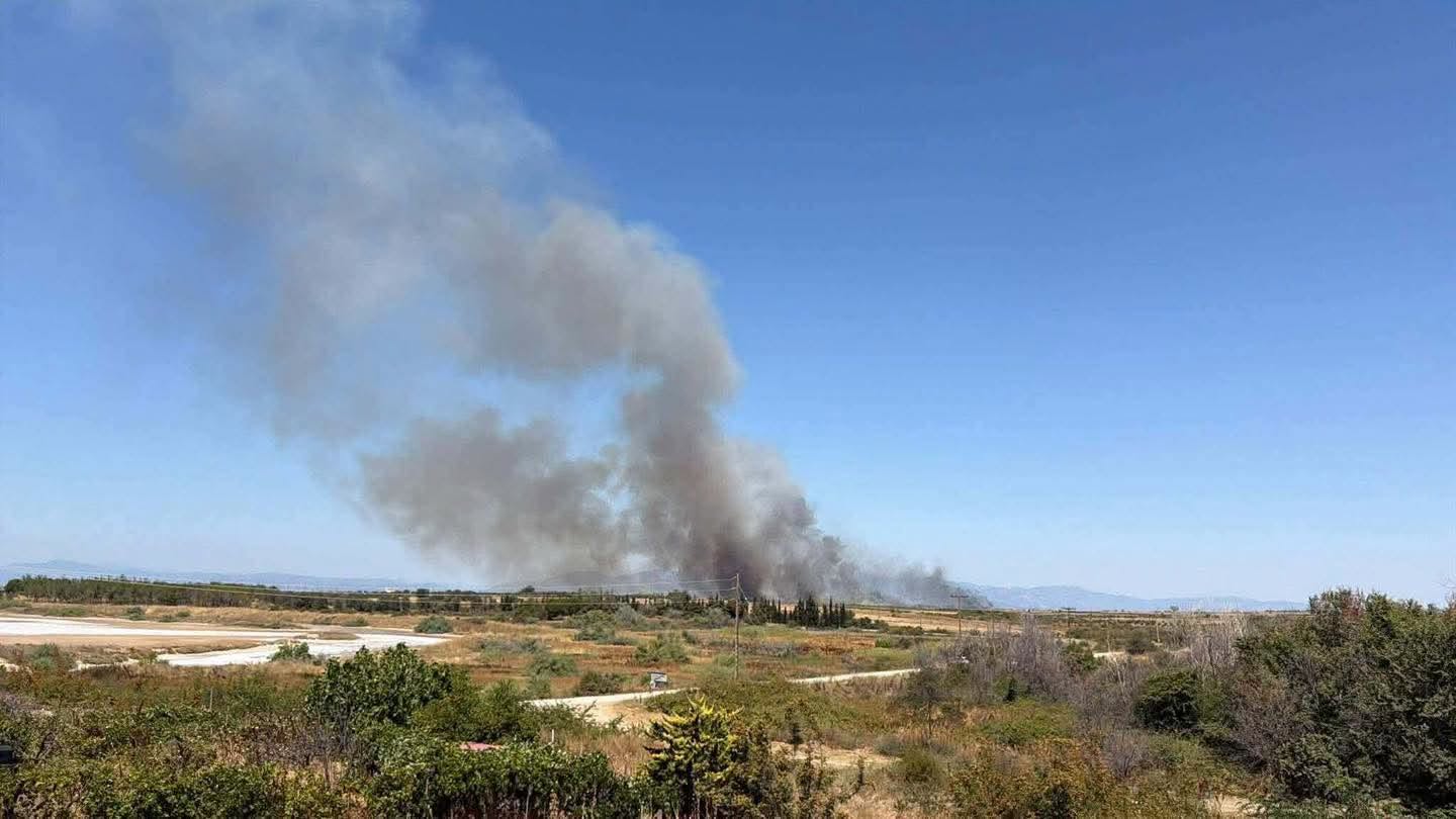 Πυρκαγιά σε χαμηλή βλάστηση στην περιοχή Ίμερος Ροδόπης Πυρκαγιά σε χαμηλή βλάστηση στην περιοχή Ίμερος Ροδόπης