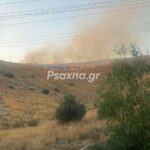 Πυρκαγιά σε χαμηλή βλάστηση στη Χαλκίδα Ευβοίας