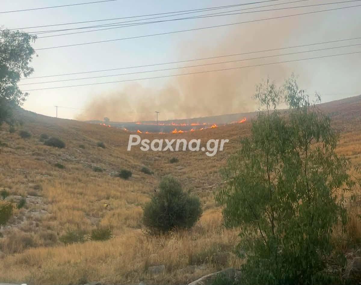 Πυρκαγιά σε χαμηλή βλάστηση στη Χαλκίδα Ευβοίας Πυρκαγιά σε χαμηλή βλάστηση στη Χαλκίδα Ευβοίας