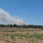 Πυρκαγιά σε χαμηλή βλάστηση στο Βαρθολομιό Ηλείας – Επιχειρούν 32 πυροσβέστες και 4 εναέρια μέσα
