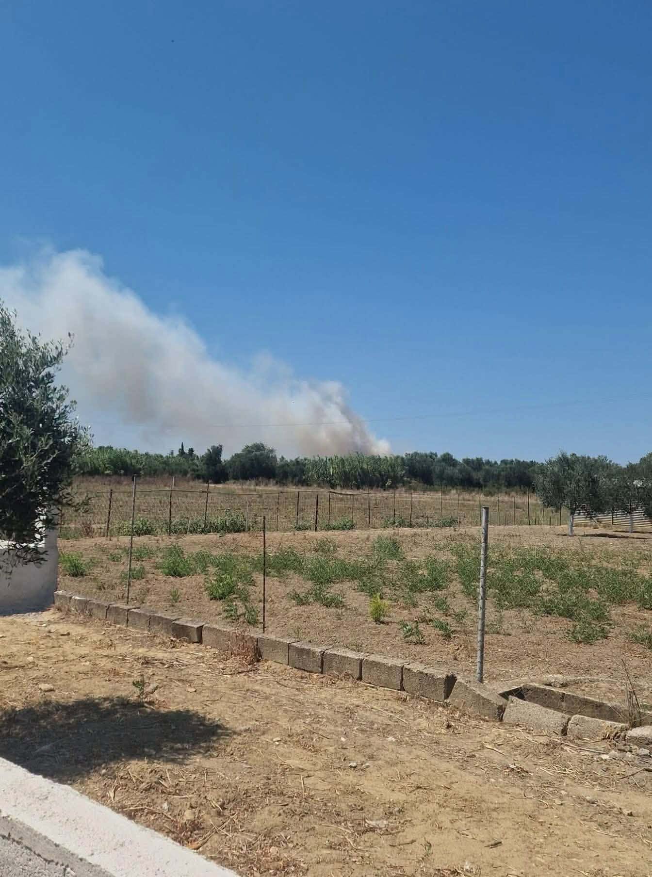 Πυρκαγιά σε χαμηλή βλάστηση στο Βαρθολομιό Ηλείας – Επιχειρούν 32 πυροσβέστες και 4 εναέρια μέσα Πυρκαγιά σε χαμηλή βλάστηση στο Βαρθολομιό Ηλείας – Επιχειρούν 32 πυροσβέστες και 4 εναέρια μέσα