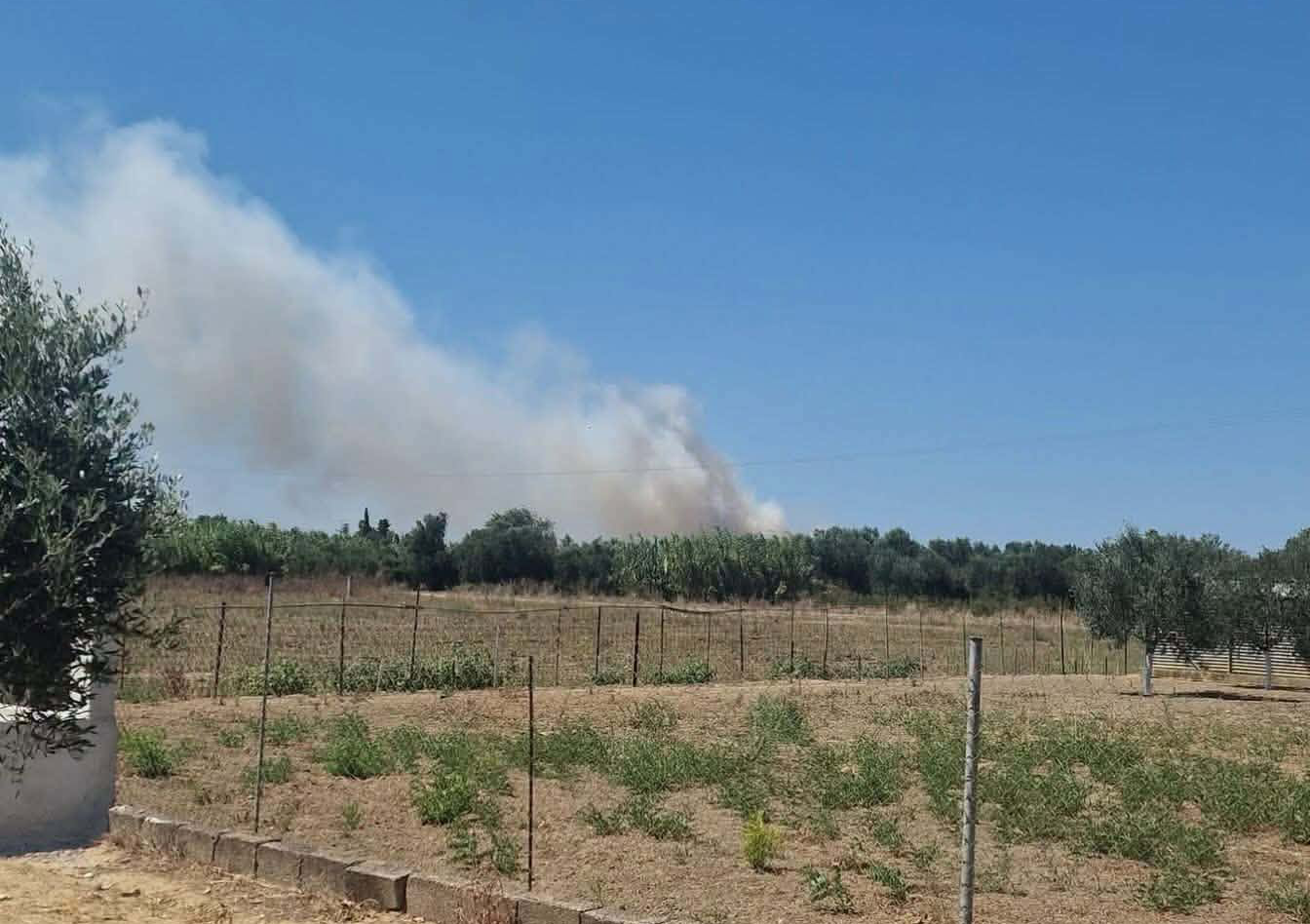 Πυρκαγιά σε χαμηλή βλάστηση στο Βαρθολομιό Ηλείας – Επιχειρούν 32 πυροσβέστες και 4 εναέρια μέσα