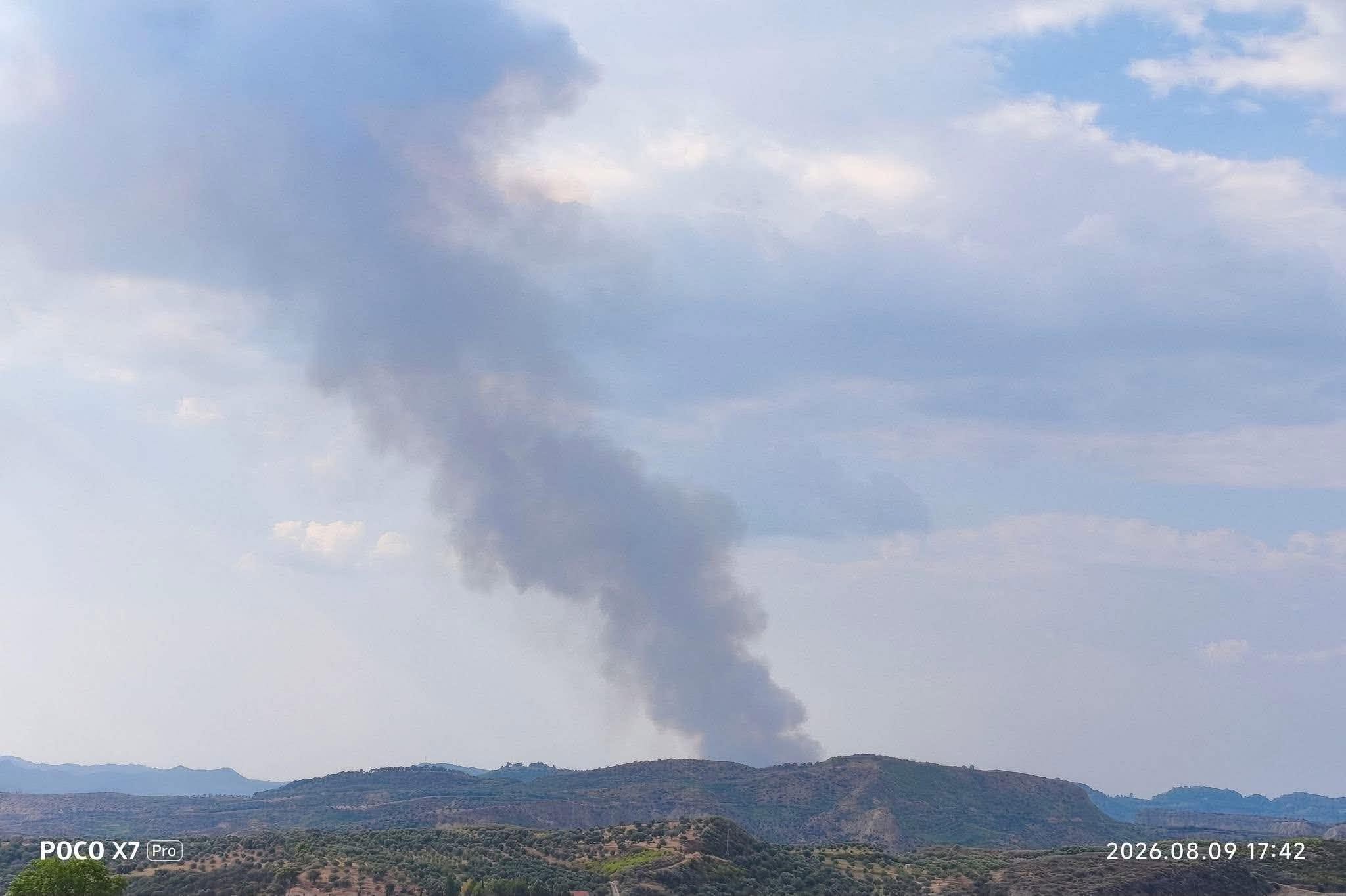 Πυρκαγιά σε αγροτοδασική έκταση στην περιοχή Μουζάκι Ηλείας Πυρκαγιά σε αγροτοδασική έκταση στην περιοχή Μουζάκι Ηλείας