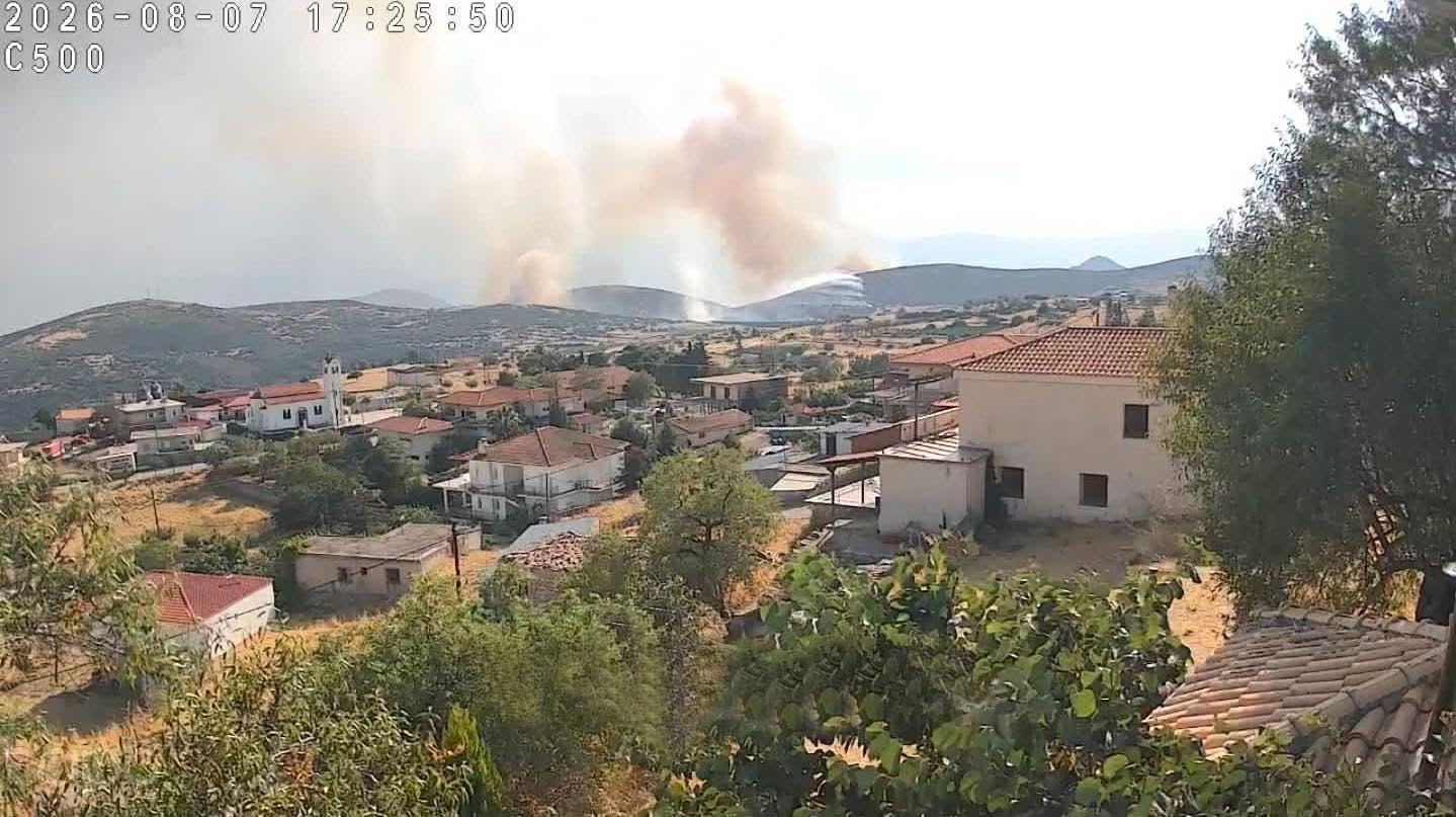 Πυρκαγιά σε αγροτοδασική έκταση στην περιοχή Στεφάνι Κορινθίας