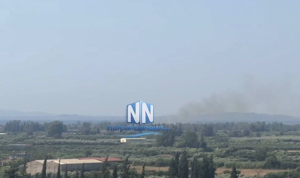 Πυρκαγιά σε χαμηλή βλάστηση στο Ευηνοχώρι Αιτωλοακαρνανίας Πυρκαγιά σε χαμηλή βλάστηση στο Ευηνοχώρι Αιτωλοακαρνανίας