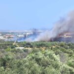 Πυρκαγιά σε χαμηλή βλάστηση επί της οδού Ανδριανού στο Κορωπί