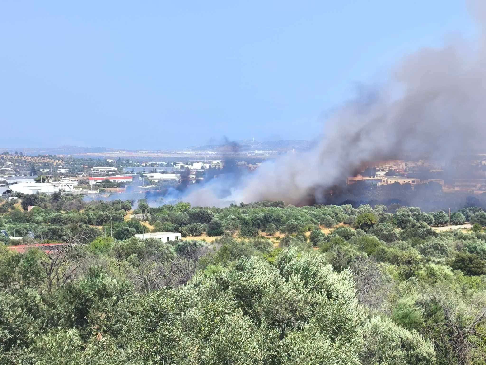 Πυρκαγιά σε χαμηλή βλάστηση επί της οδού Ανδριανού στο Κορωπί Πυρκαγιά σε χαμηλή βλάστηση επί της οδού Ανδριανού στο Κορωπί