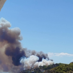 Πυρκαγιά σε δασική έκταση στην περιοχή Περιστέρια Σαλαμίνας
