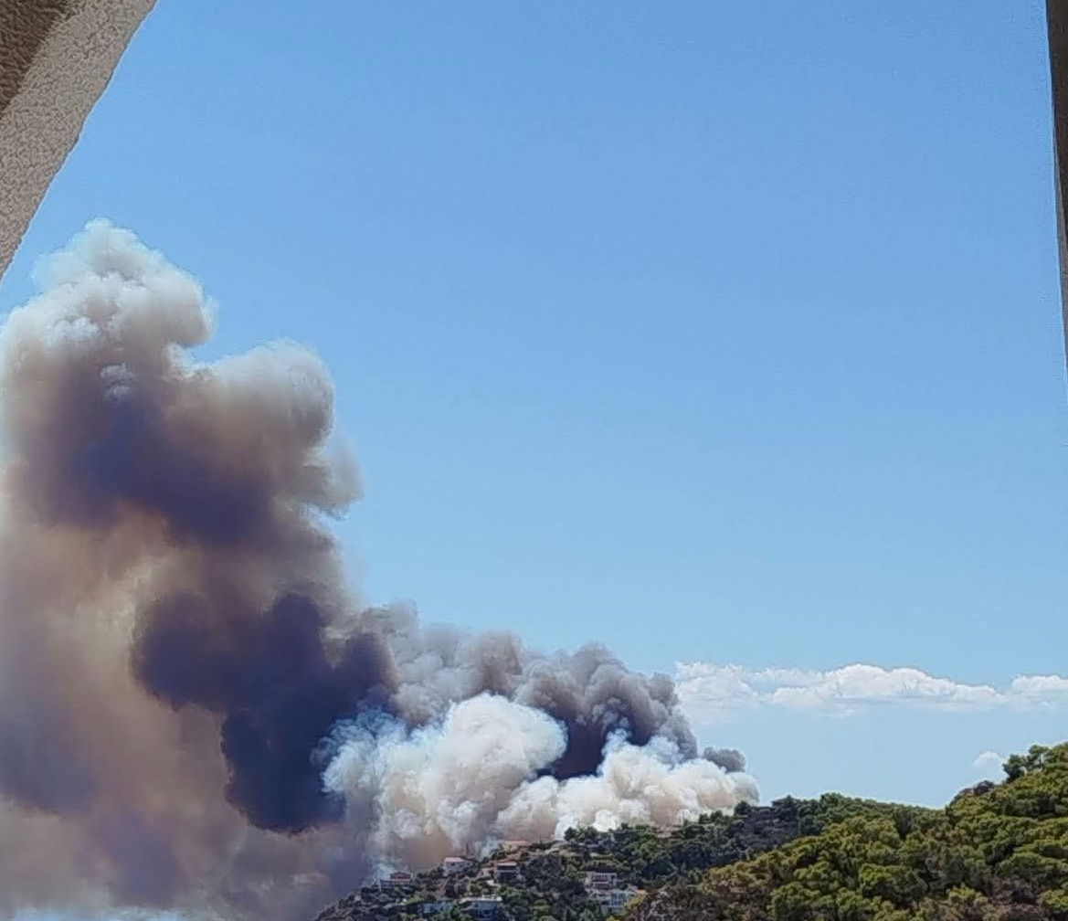 Πυρκαγιά σε δασική έκταση στην περιοχή Περιστέρια Σαλαμίνας