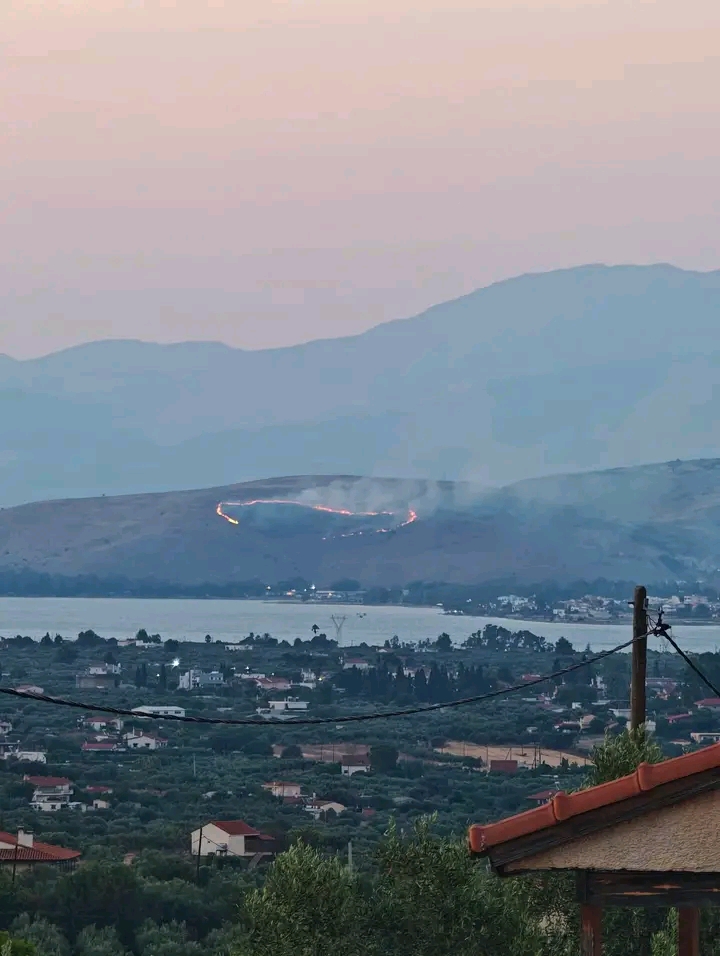 Πυρκαγιά σε χαμηλή βλάστηση στη Χαλκίδα Ευβοίας Πυρκαγιά σε χαμηλή βλάστηση στη Χαλκίδα Ευβοίας