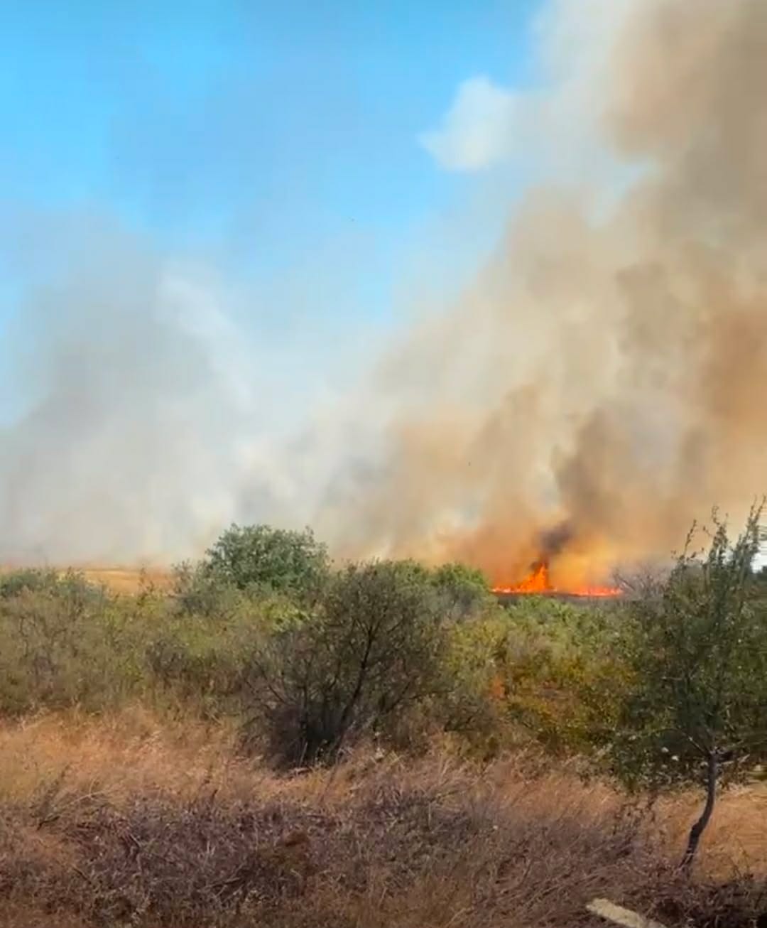 Πυρκαγιά σε χαμηλή βλάστηση στην περιοχή Ίμερος Ροδόπης Πυρκαγιά σε χαμηλή βλάστηση στην περιοχή Ίμερος Ροδόπης