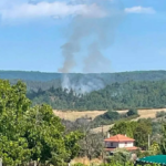 Πυρκαγιά σε δασική έκταση στην περιοχή Βερτίσκος Θεσσαλονίκης