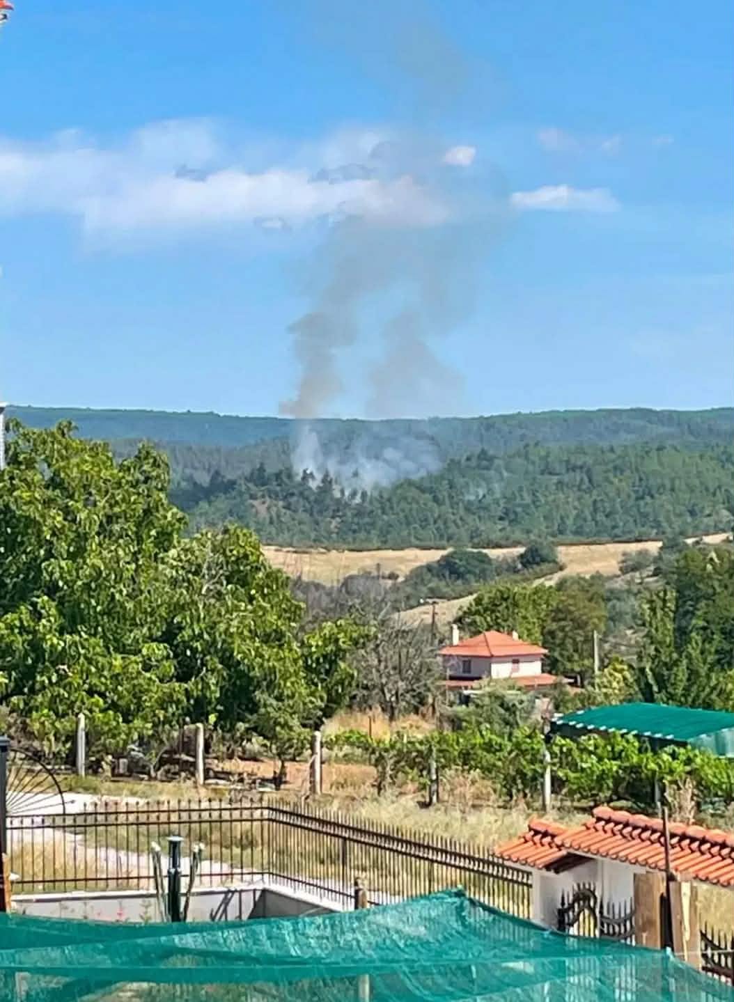 Πυρκαγιά σε δασική έκταση στην περιοχή Βερτίσκος Θεσσαλονίκης Πυρκαγιά σε δασική έκταση στην περιοχή Βερτίσκος Θεσσαλονίκης