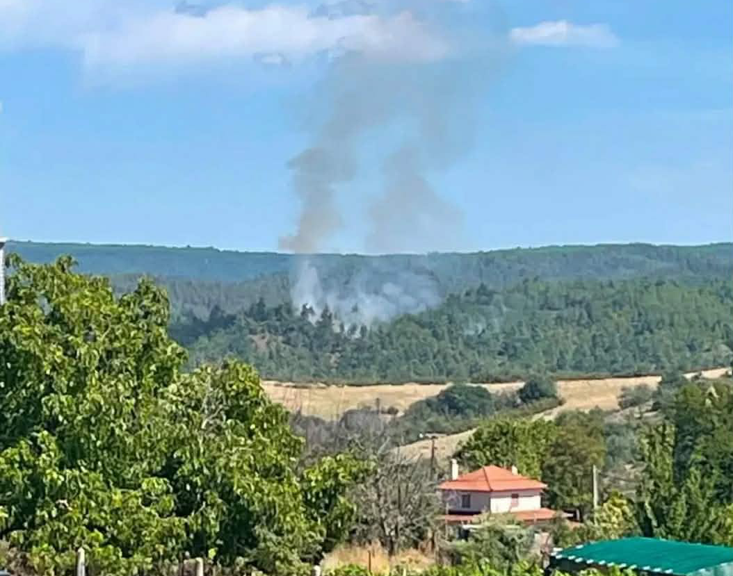 Πυρκαγιά σε δασική έκταση στην περιοχή Βερτίσκος Θεσσαλονίκης