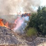 Πυρκαγιά σε δασική έκταση στο Κόμιτο Καρύστου – Επιχειρούν 29 πυροσβέστες και 5 εναέρια μέσα