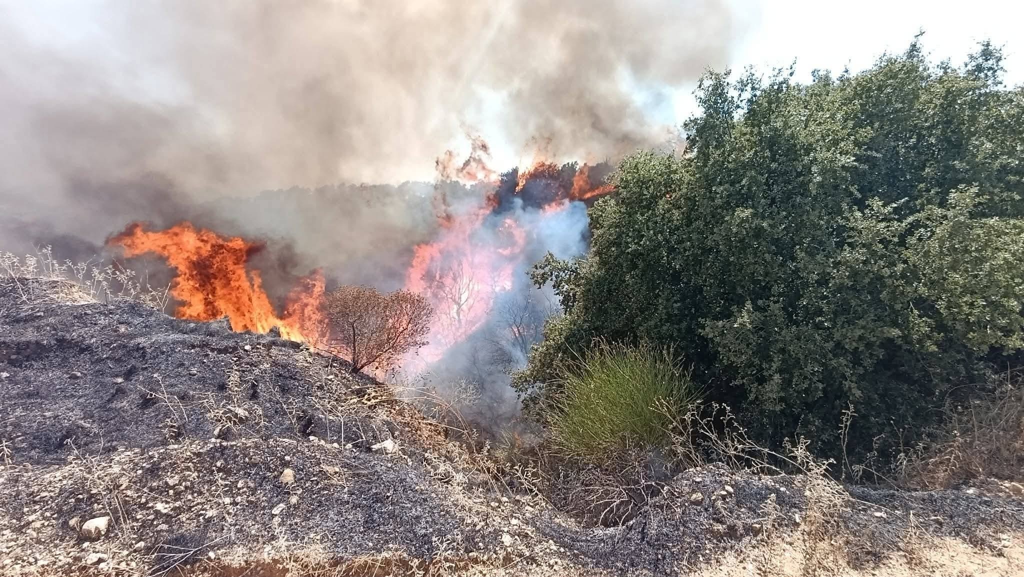 Πυρκαγιά σε δασική έκταση στο Κόμιτο Καρύστου – Επιχειρούν 29 πυροσβέστες και 5 εναέρια μέσα