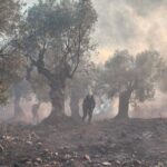 Πυρκαγιά σε χαμηλή βλάστηση στον Ξηροπόταμο Σαμοθράκης