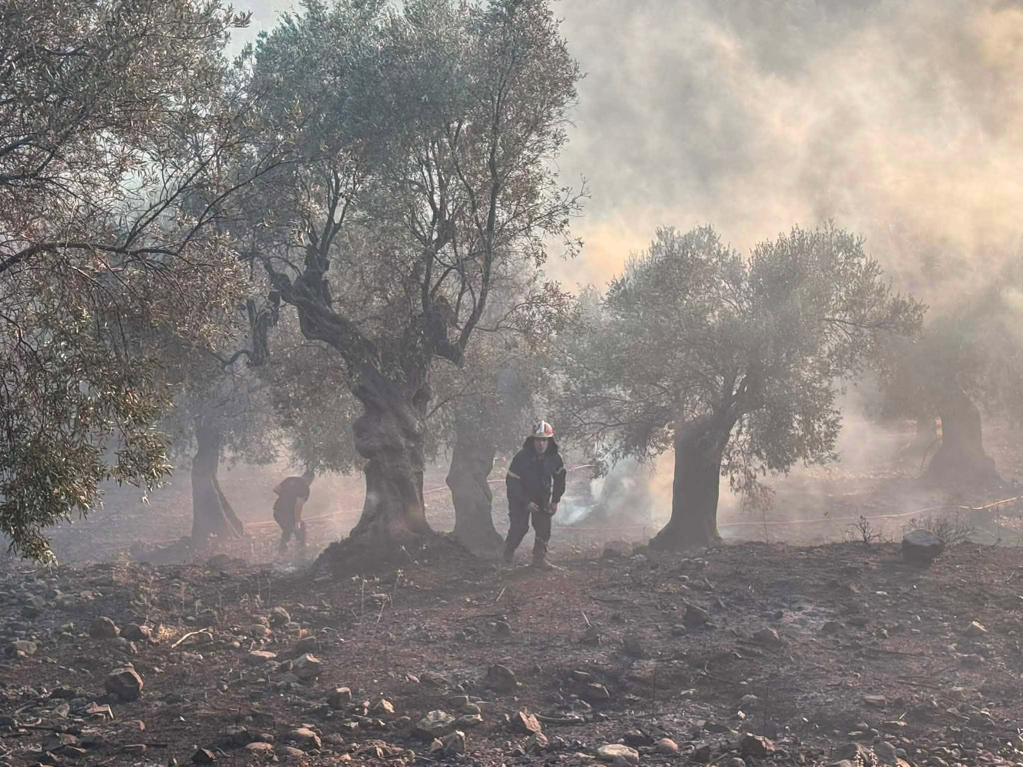 Πυρκαγιά σε χαμηλή βλάστηση στον Ξηροπόταμο Σαμοθράκης