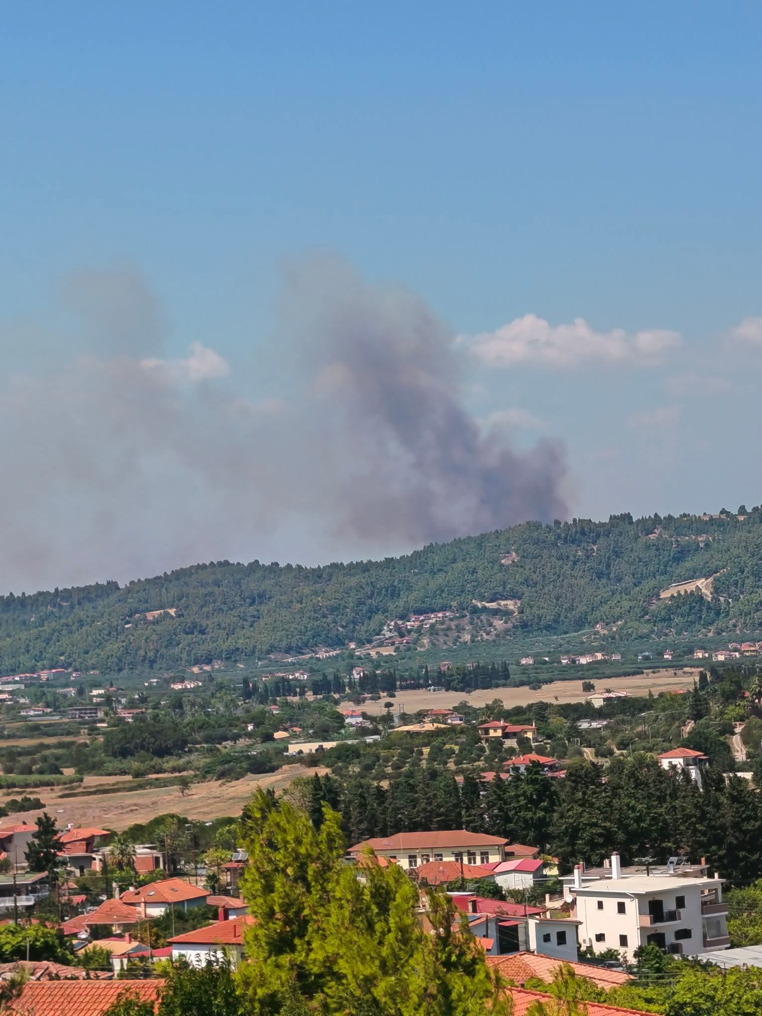 Πυρκαγιά σε χαμηλή βλάστηση στην Σίβηρη Χαλκιδικής Πυρκαγιά σε χαμηλή βλάστηση στην Σίβηρη Χαλκιδικής
