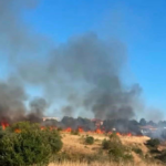 Πυρκαγιά σε χαμηλή βλάστηση στη Νέα Μηχανιώνα Θεσσαλονίκης