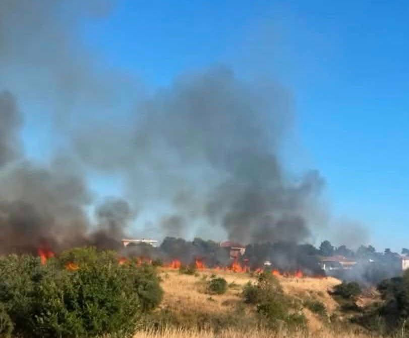 Πυρκαγιά σε χαμηλή βλάστηση στη Νέα Μηχανιώνα Θεσσαλονίκης Πυρκαγιά σε χαμηλή βλάστηση στη Νέα Μηχανιώνα Θεσσαλονίκης