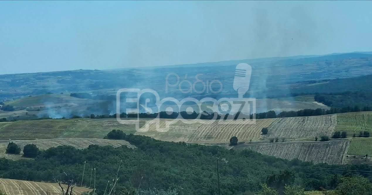 Πυρκαγιά σε αγροτοδασική έκταση στα Κόμαρα Έβρου – Επιχειρούν 18 πυροσβέστες Πυρκαγιά σε αγροτοδασική έκταση στα Κόμαρα Έβρου – Επιχειρούν 18 πυροσβέστες