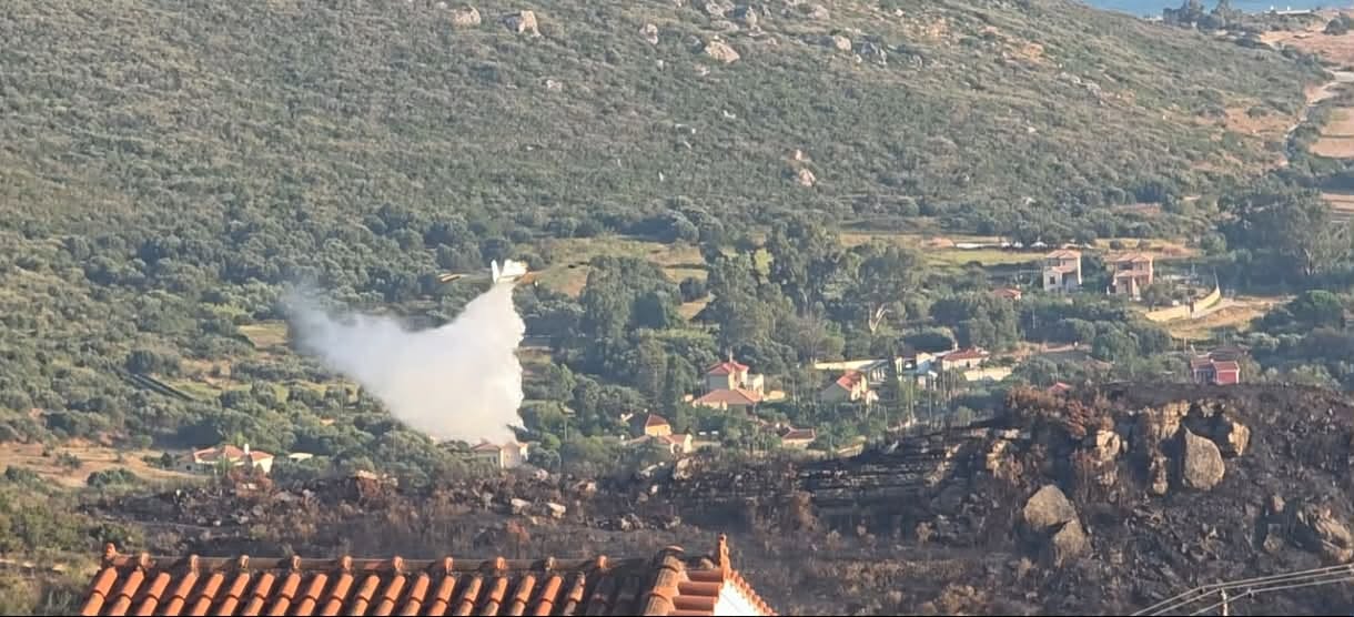 Πυρκαγιά σε δασική έκταση στην Πάστρα Κεφαλονιάς – Επιχειρούν 26 πυροσβέστες και 4 εναέρια μέσα Πυρκαγιά σε δασική έκταση στην Πάστρα Κεφαλονιάς – Επιχειρούν 26 πυροσβέστες και 4 εναέρια μέσα