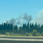 Πυρκαγιά σε χαμηλή βλάστηση στα Σπάτα Αττικής