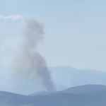 Πυρκαγιά σε δασική έκταση στη Στεφάνη Βοιωτίας – Επιχειρούν 62 πυροσβέστες και 4 εναέρια μέσα