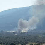 Πυρκαγιά σε γεωργική έκταση στην Τροιζήνα – Επιχειρούν 10 πυροσβέστες