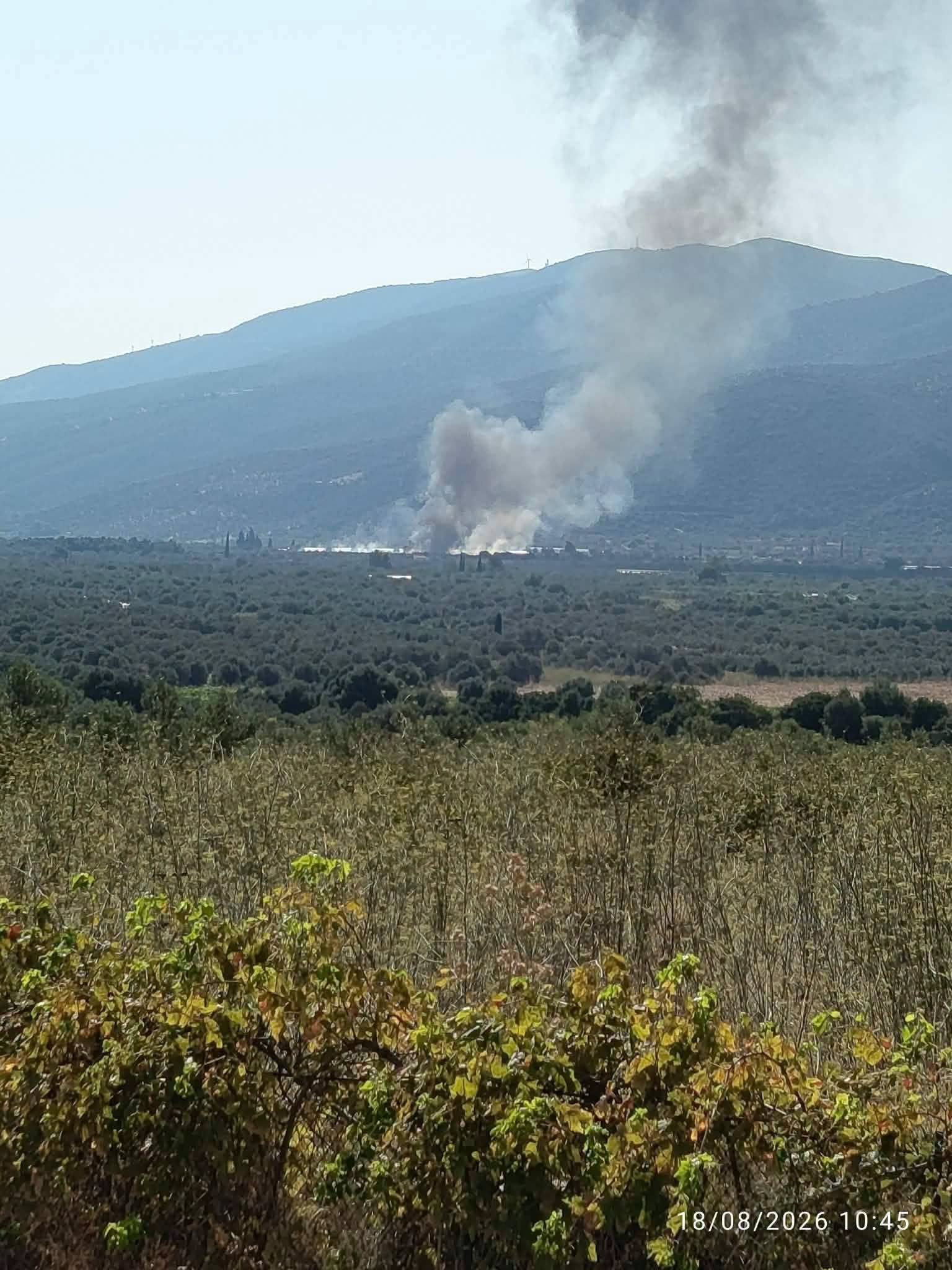 Πυρκαγιά σε γεωργική έκταση στην Τροιζήνα – Επιχειρούν 10 πυροσβέστες