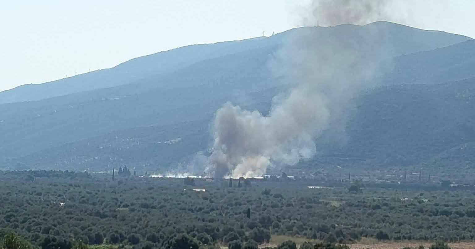 Πυρκαγιά σε γεωργική έκταση στην Τροιζήνα – Επιχειρούν 10 πυροσβέστες