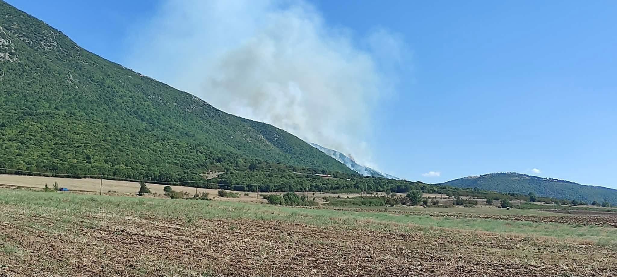 Ενισχύθηκαν οι δυνάμεις στην πυρκαγιά στην Παρασκευή Δεσκάτης Γρεβενών – 50 πυροσβέστες και 5 εναέρια μέσα Ενισχύθηκαν οι δυνάμεις στην πυρκαγιά στην Παρασκευή Δεσκάτης Γρεβενών – 50 πυροσβέστες και 5 εναέρια μέσα