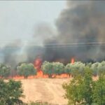Πυρκαγιά σε χαμηλή βλάστηση στην Παλαιοκώμη Σερρών – Επιχειρούν 22 πυροσβέστες και 1 ελικόπτερο