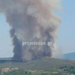 Πυρκαγιά σε χαμηλή βλάστηση στον Άγιο Βλάσιο Βοιωτίας – Επιχειρούν 35 πυροσβέστες και 9 εναέρια μέσα