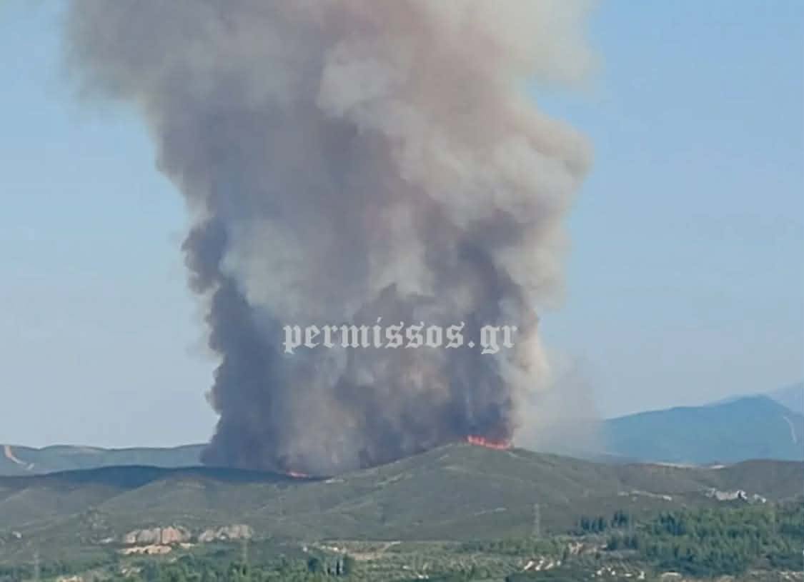 Πυρκαγιά σε χαμηλή βλάστηση στον Άγιο Βλάσιο Βοιωτίας – Επιχειρούν 35 πυροσβέστες και 9 εναέρια μέσα Πυρκαγιά σε χαμηλή βλάστηση στον Άγιο Βλάσιο Βοιωτίας – Επιχειρούν 35 πυροσβέστες και 9 εναέρια μέσα