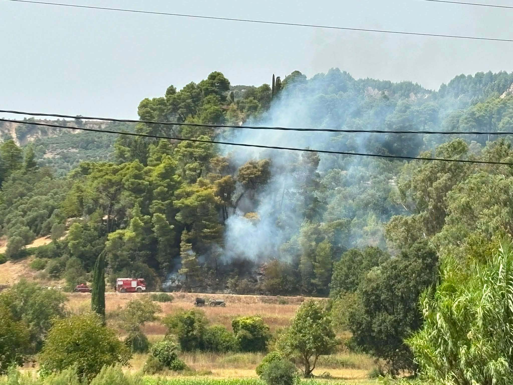 Πυροσβεστική: 38 αγροτοδασικές πυρκαγιές το τελευταίο 24ωρο