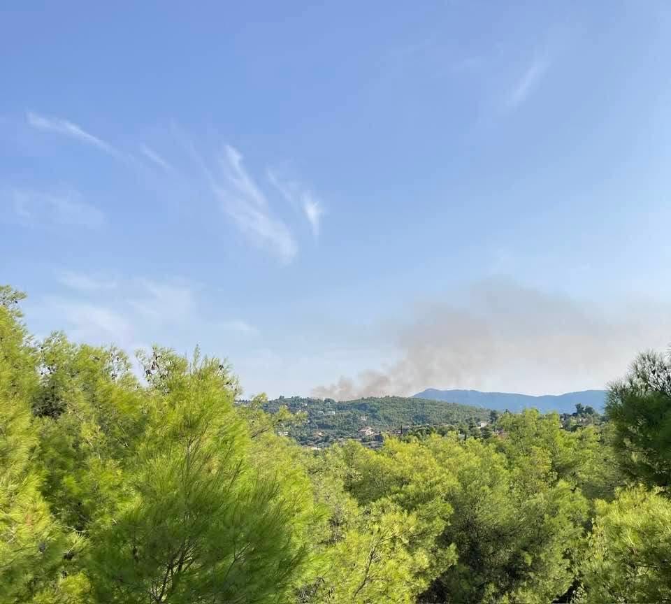 Πυρκαγιά σε δασική έκταση στο Μαρκόπουλο Ωρωπού – Επιχειρούν 24 πυροσβέστες και 4 εναέρια μέσα Πυρκαγιά σε δασική έκταση στο Μαρκόπουλο Ωρωπού – Επιχειρούν 24 πυροσβέστες και 4 εναέρια μέσα