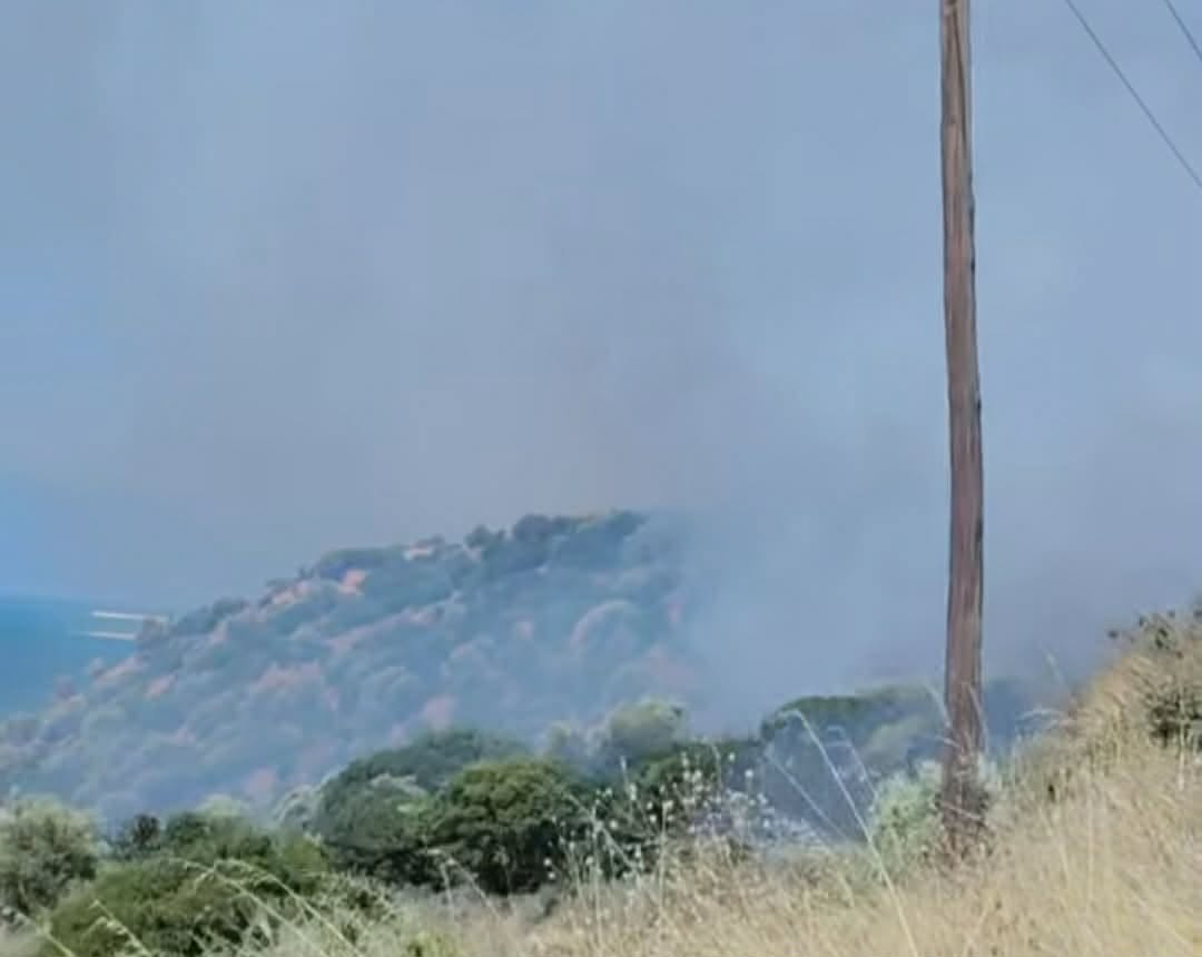 Πυρκαγιά σε χαμηλή βλάστηση στη Βρύση Παγγαίου Καβάλας – Επιχειρούν 34 πυροσβέστες και 4 εναέρια μέσα