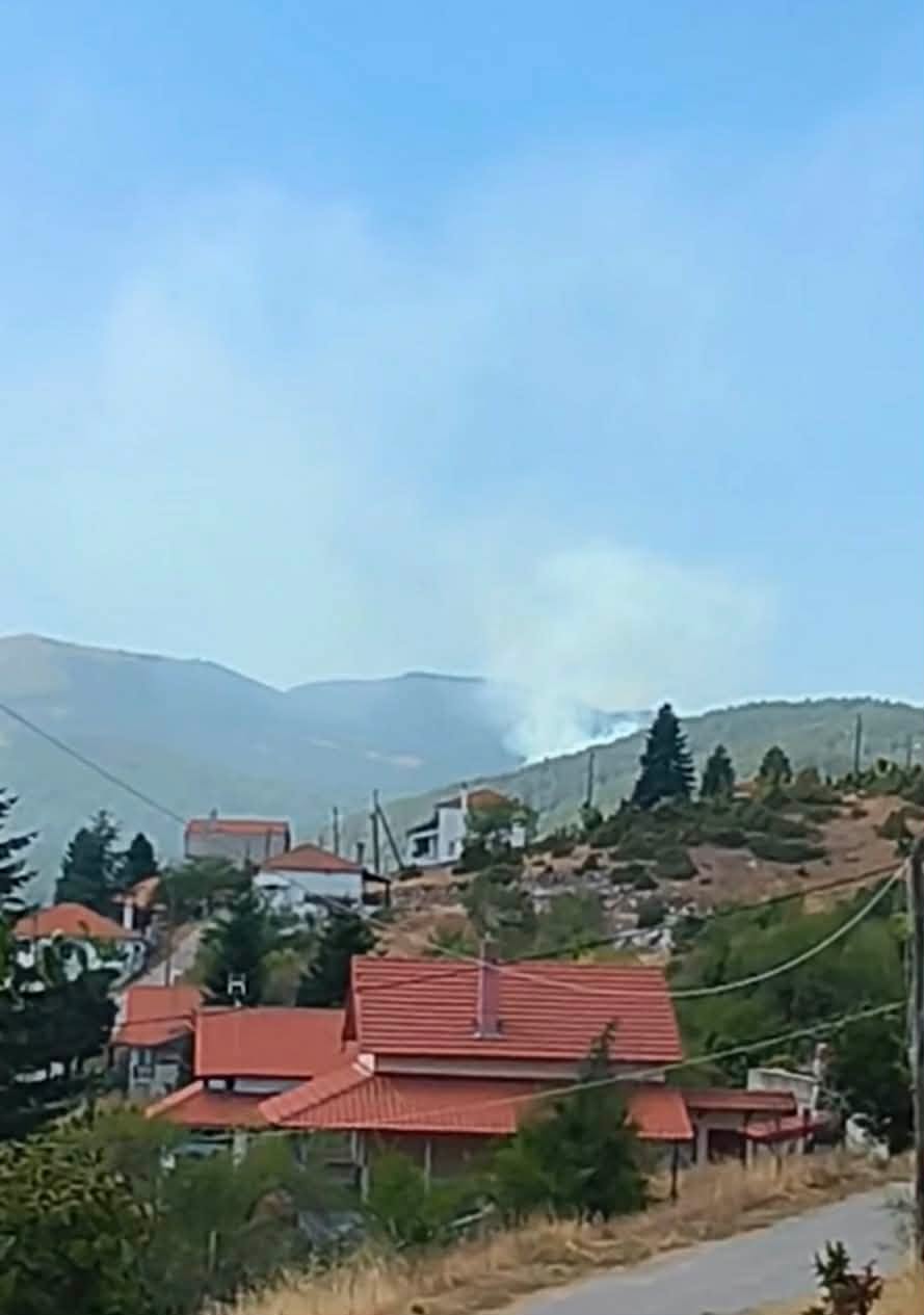 Πυρκαγιά σε δασική έκταση στο Ξηρολίβαδο Βέροιας – Επιχειρούν 30 πυροσβέστες και 3 εναέρια μέσα Πυρκαγιά σε δασική έκταση στο Ξηρολίβαδο Βέροιας – Επιχειρούν 30 πυροσβέστες και 3 εναέρια μέσα