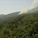 Πυρκαγιά σε δασική έκταση στο Βίκι Χίου – Επιχειρούν 35 πυροσβέστες και 5 εναέρια μέσα