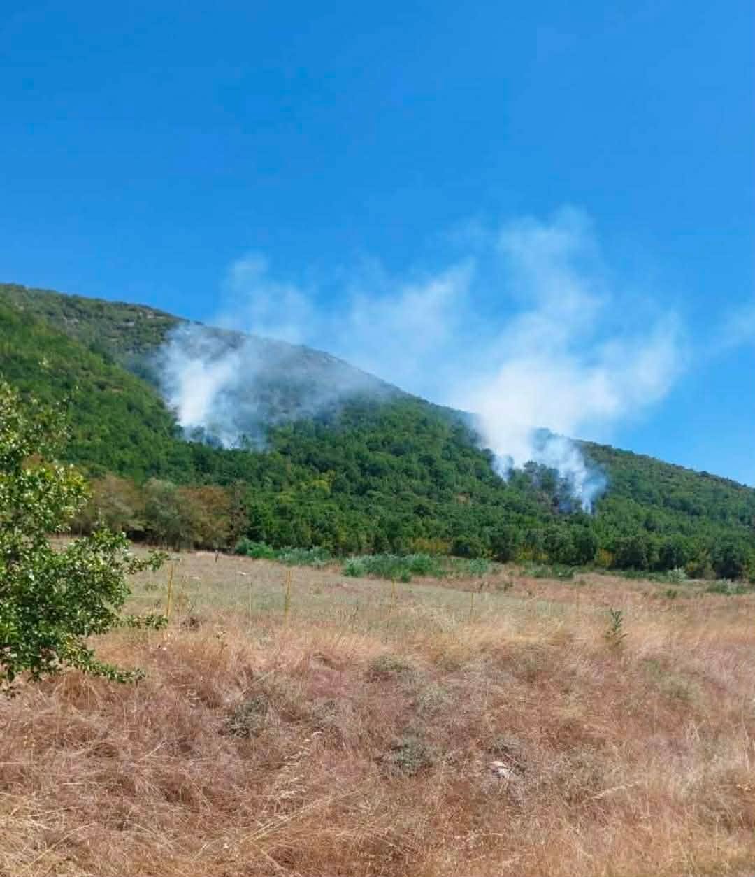 Πυρκαγιά σε δασική έκταση στην Παρασκευή Δεσκάτης Γρεβενών – Επιχειρούν 28 πυροσβέστες και 2 ελικόπτερα