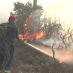 Πυρκαγιά σε αγροτοδασική έκταση στο Παλαιοχώρι Μάνδρας Αττικής