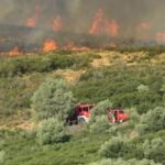 Πυρκαγιά σε χαμηλή βλάστηση στα Σήμαντρα Χαλκιδικής – Επιχειρούν 45 πυροσβέστες και 4 εναέρια μέσα