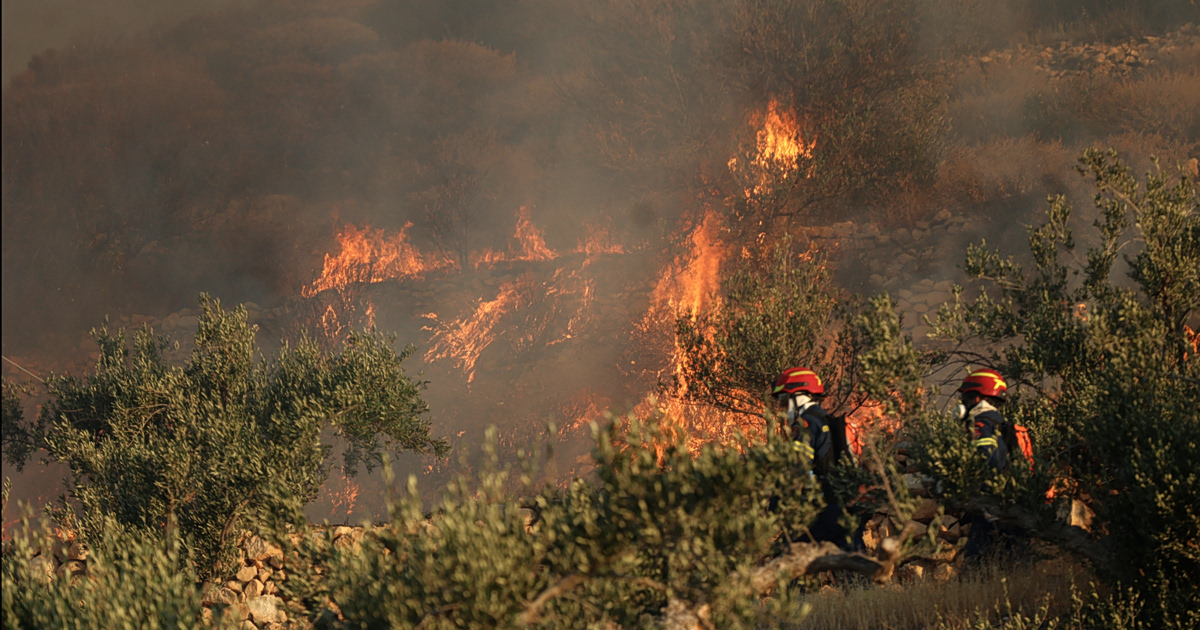 Πυρκαγιά σε δασική έκταση στη θέση Κτυπημένα Αλμωπίας Πέλλας – Επιχειρούν 34 πυροσβέστες και 1 ελικόπτερο