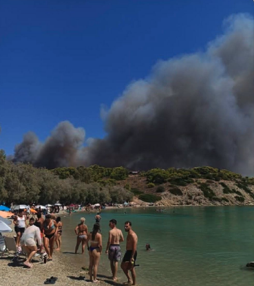 Πυρκαγιά σε δασική έκταση στην περιοχή Περιστέρια Σαλαμίνας Πυρκαγιά σε δασική έκταση στην περιοχή Περιστέρια Σαλαμίνας